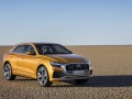 Audi Q8 (4M)