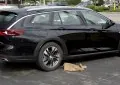 Buick Regal VI TourX