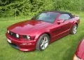 Ford Mustang Convertible V
