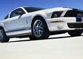 Ford Shelby II