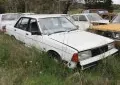 Nissan Bluebird (910)