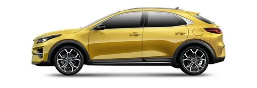 XCEED (CD) з 2019 року