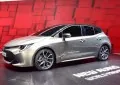 Auris
