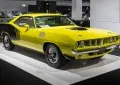 Barracuda