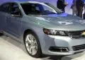 Impala