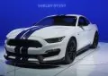 Shelby