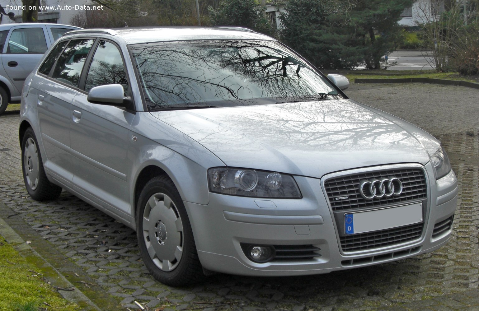 Audi A3 Sportback (8PA)