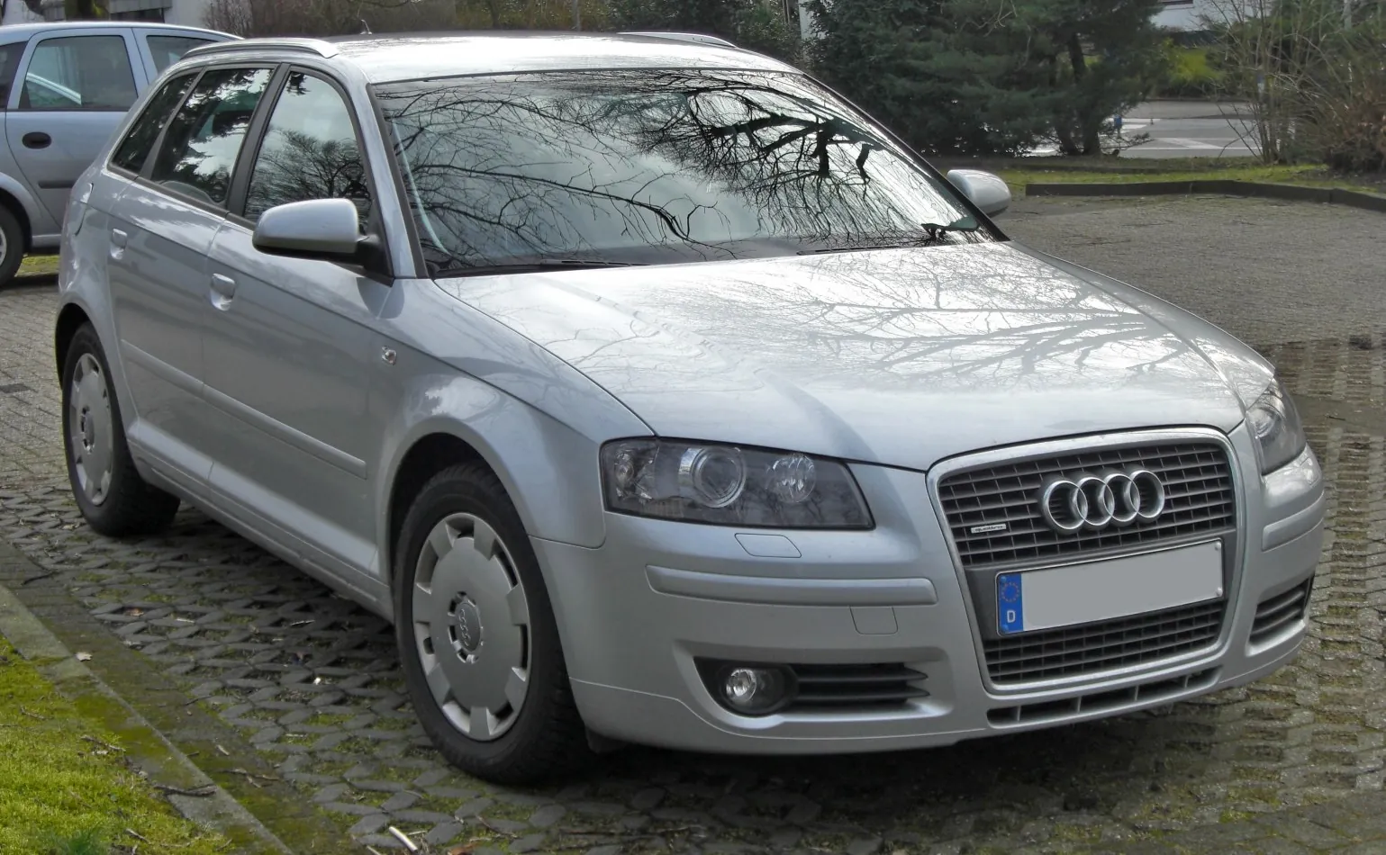 Audi A3 Sportback (8PA)