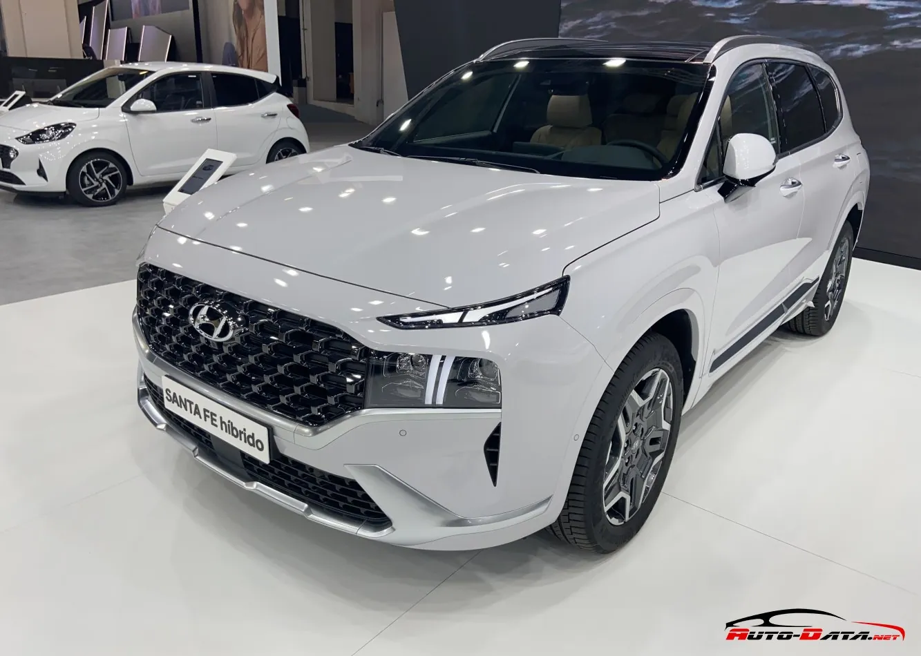 Hyundai Santa Fe IV (TM, facelift 2020)