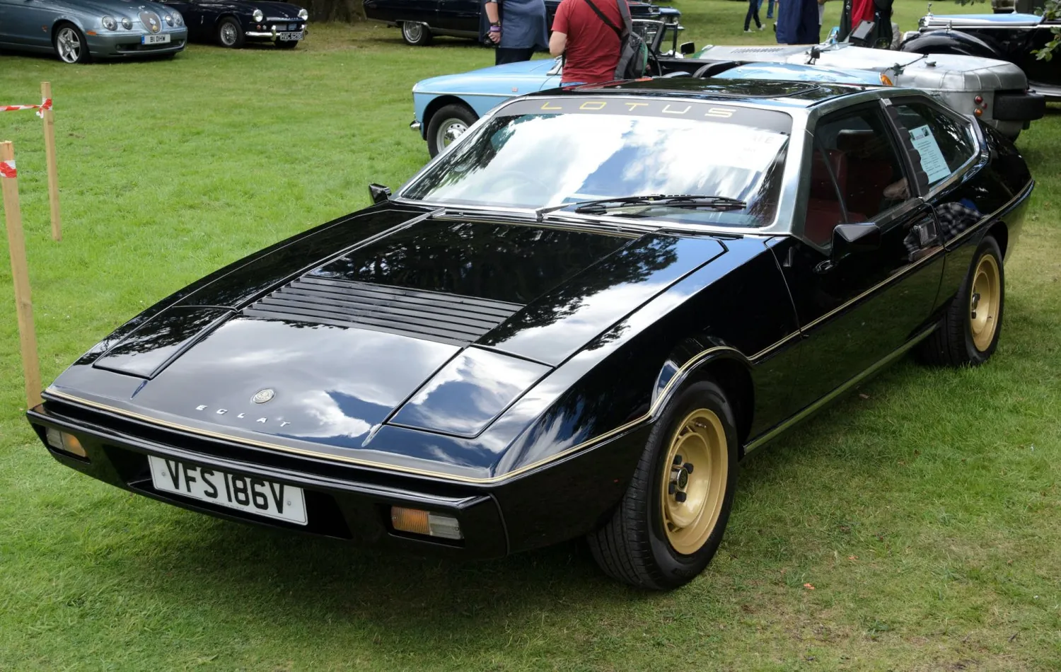 Lotus Eclat