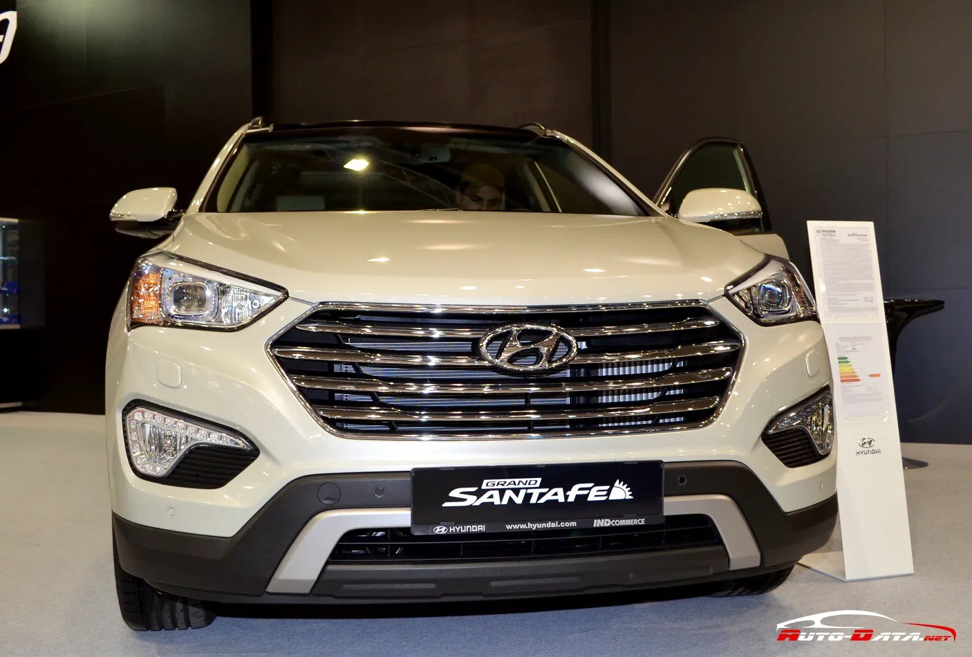 Hyundai Grand Santa Fe (NC)