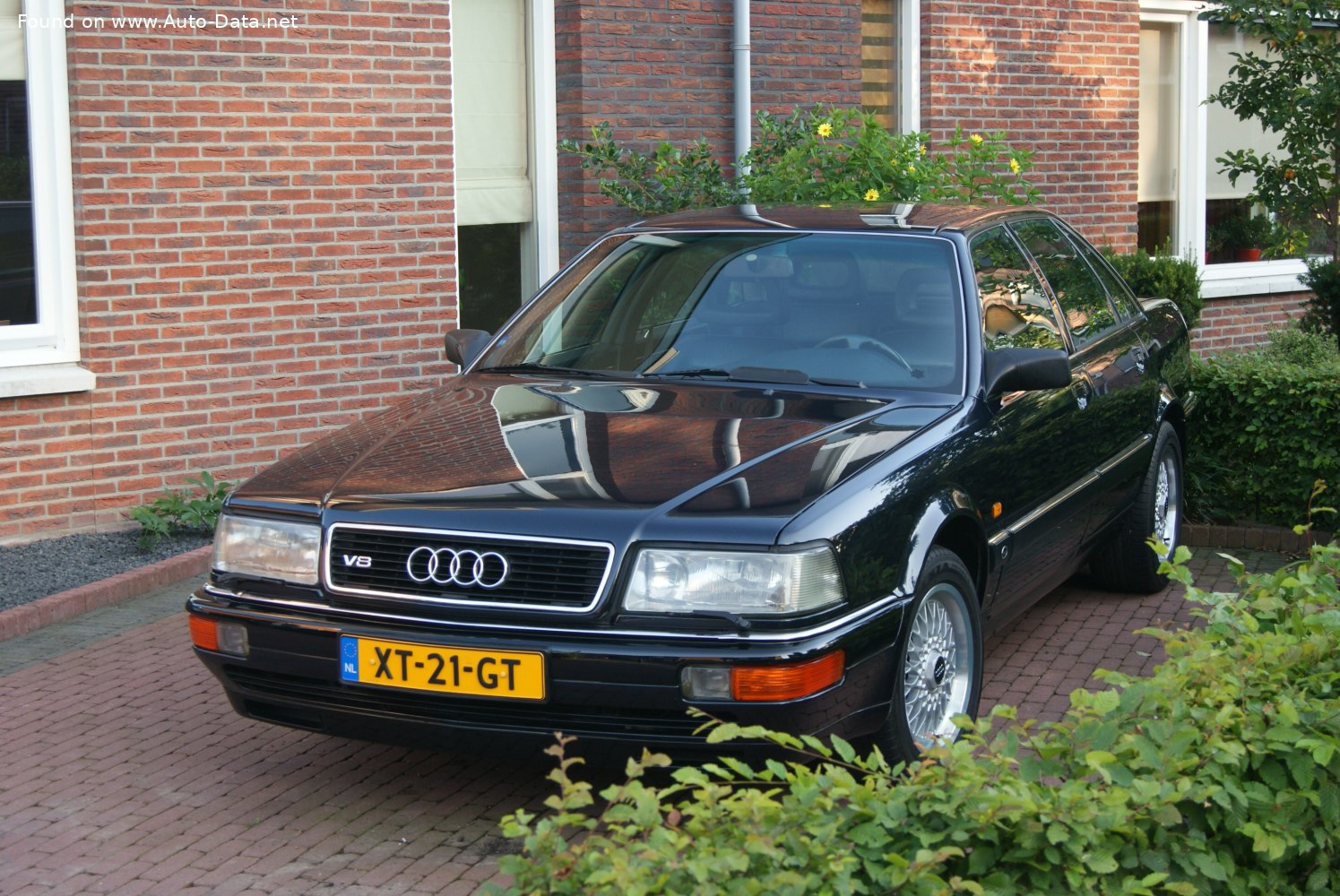Audi V8 (D11)