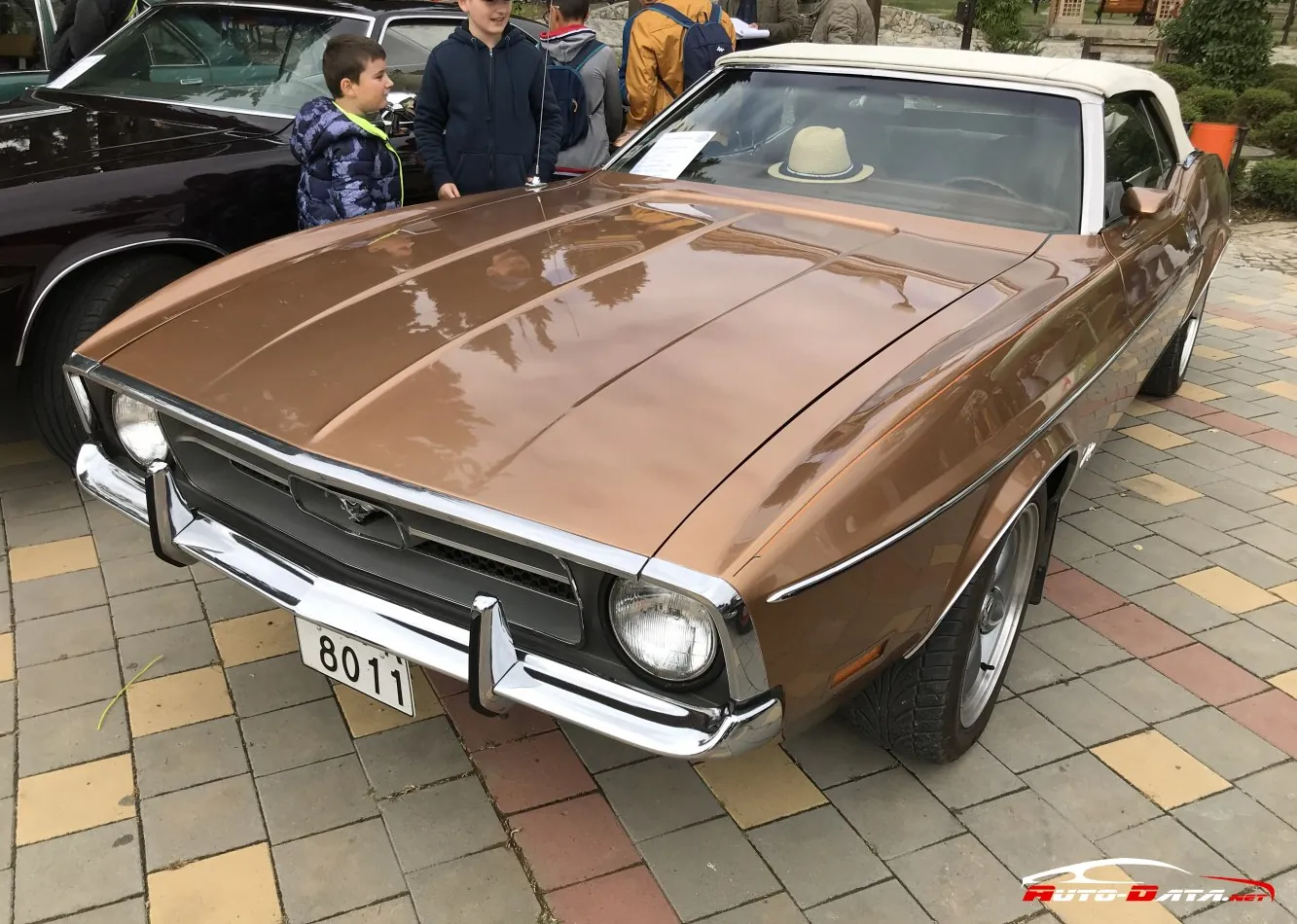Ford Mustang Convertible I (facelift 1970)