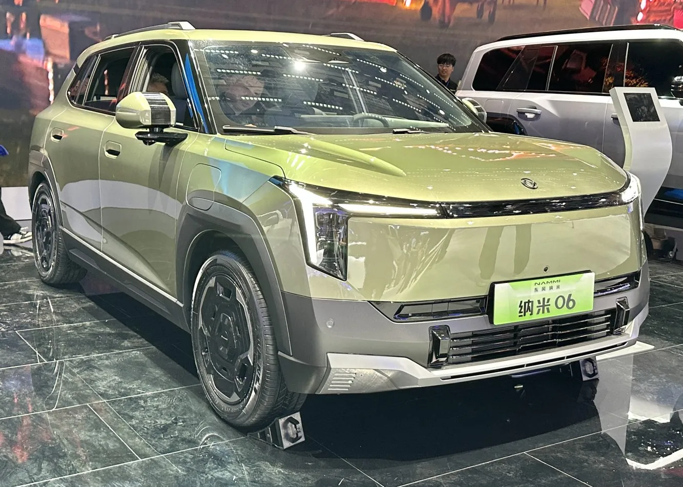 DongFeng Nammi 06