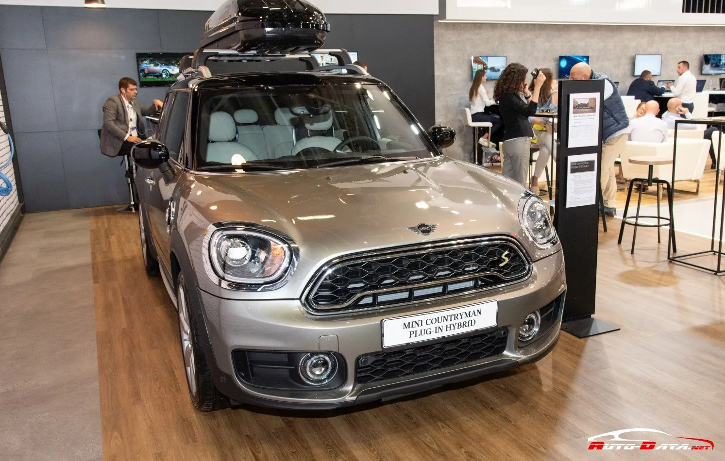 Mini Countryman (F60)