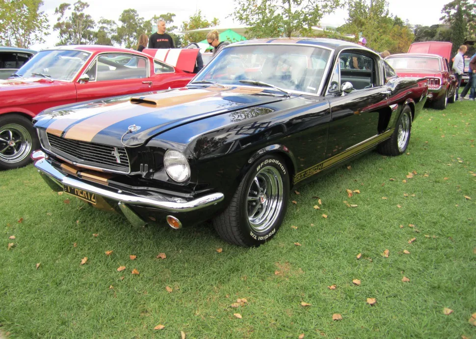 Ford Shelby I